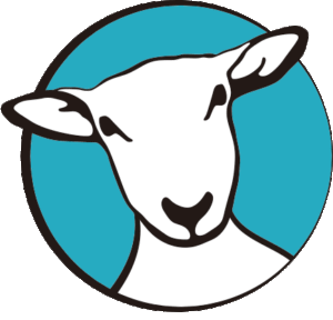 Sheep Boutique Communications